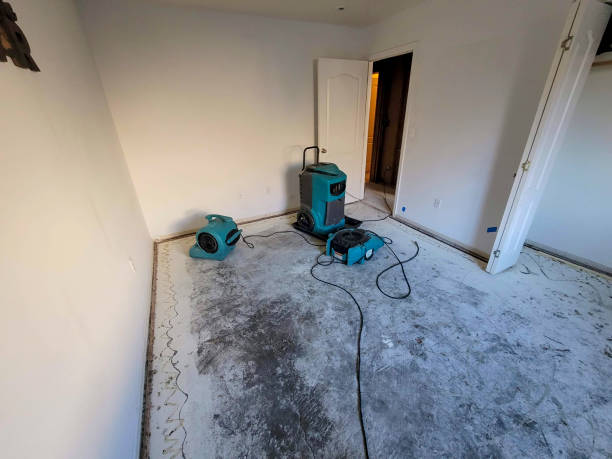 Best Ceiling water damage repair  in Ballston Spa, NY