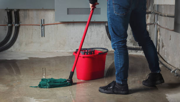 Best Flood damage cleanup  in Ballston Spa, NY