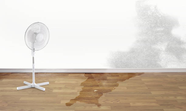 Best Water damage restoration near me  in Ballston Spa, NY